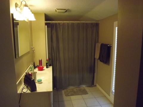 401 Lyle Ave, Donovan, IL 60931 photo 7