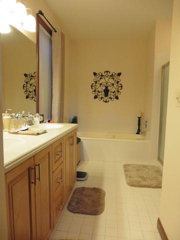 663 Rose Ln, Bartlett, IL 60103 photo 11