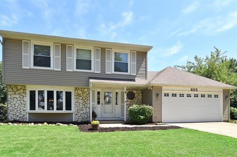 855 Summerfield Dr, Roselle, IL 60172 photo 1