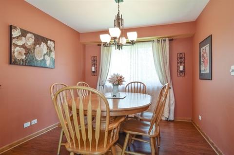 855 Summerfield Dr, Roselle, IL 60172 photo 8