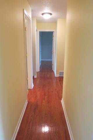 1114 Washington St, Bartlett, IL 60103 photo 10