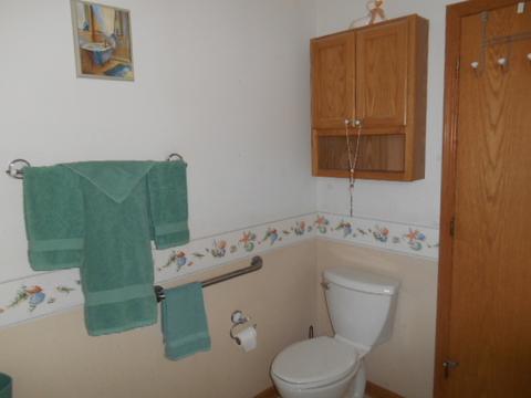 21336 W Juniper Ln, Plainfield, IL 60544 photo 15