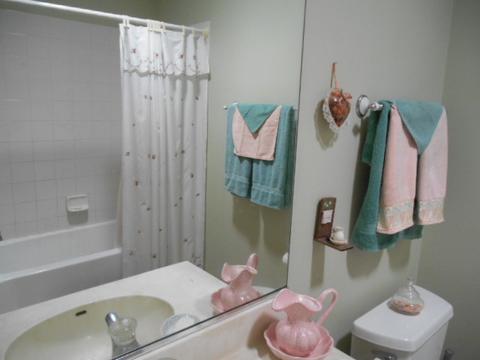 21336 W Juniper Ln, Plainfield, IL 60544 photo 12