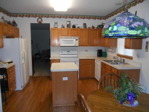21336 W Juniper Ln, Plainfield, IL 60544 photo 3