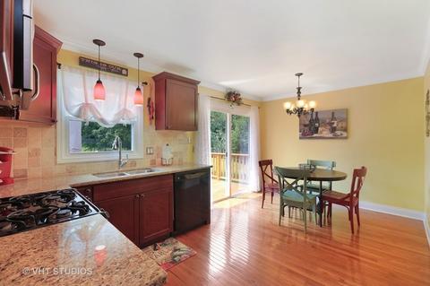 904 Surrey Ln, Algonquin, IL 60102 photo 5