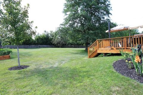 904 Surrey Ln, Algonquin, IL 60102 photo 20