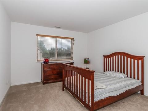 117 Summit Dr, Gilberts, IL 60136 photo 23