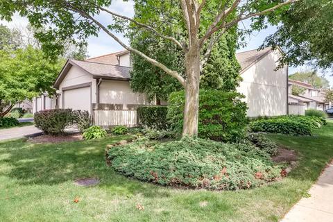 2538 Honeysuckle Ln, Rolling Meadows, IL 60008 photo 1
