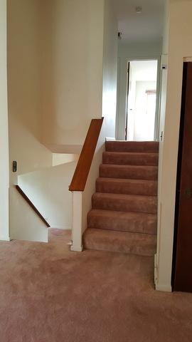 8901 Lyons St, Des Plaines, IL 60016 photo 4