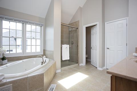 26209 W Milestone Dr, Plainfield, IL 60585 photo 21