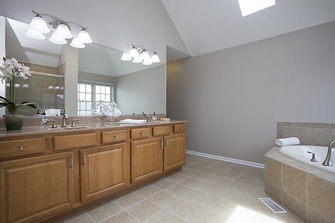 26209 W Milestone Dr, Plainfield, IL 60585 photo 20