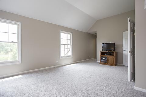 26209 W Milestone Dr, Plainfield, IL 60585 photo 19