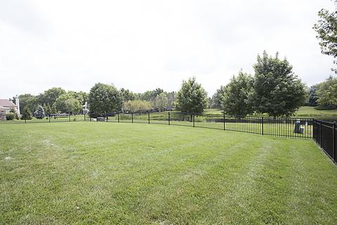 26209 W Milestone Dr, Plainfield, IL 60585 photo 2