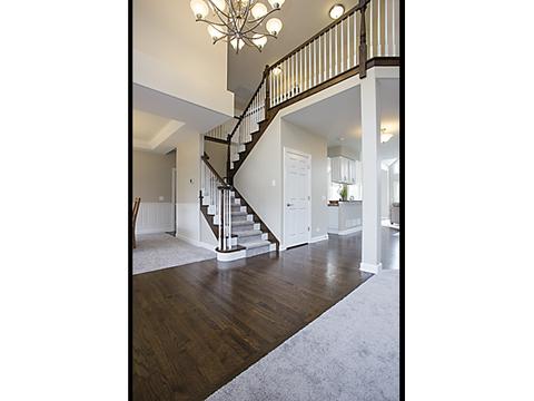 26209 W Milestone Dr, Plainfield, IL 60585 photo 4