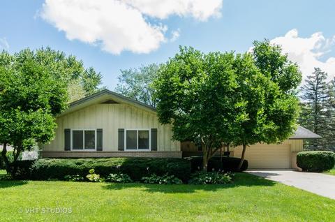 905 Ruth Dr, Elgin, IL 60123 photo 1