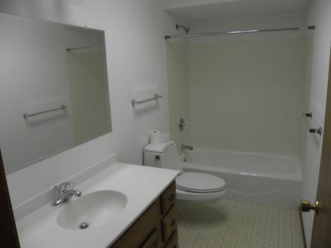 115 Sharon Dr, Morris, IL 60450 photo 8