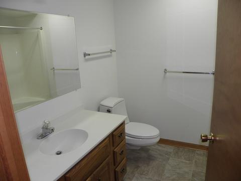 115 Sharon Dr, Morris, IL 60450 photo 15