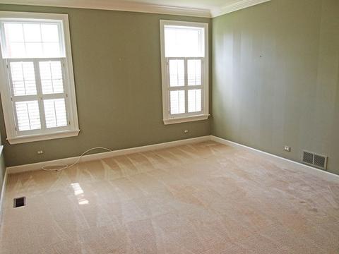 1526 Bridle Ln, Bartlett, IL 60103 photo 5