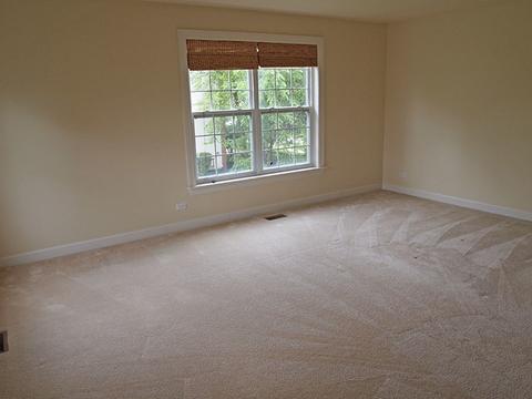 1526 Bridle Ln, Bartlett, IL 60103 photo 39