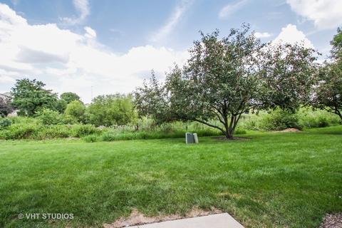 2516 Oak Tree Ln, Plainfield, IL 60586 photo 10