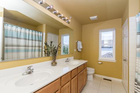 5735 River Birch Dr, Hoffman Estates, IL 60192 photo 42