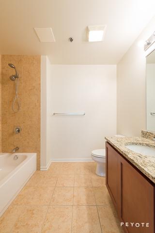 1 E 8th St #1007, Chicago, IL 60605 photo 12