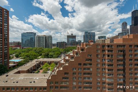 1 E 8th St #1007, Chicago, IL 60605 photo 13