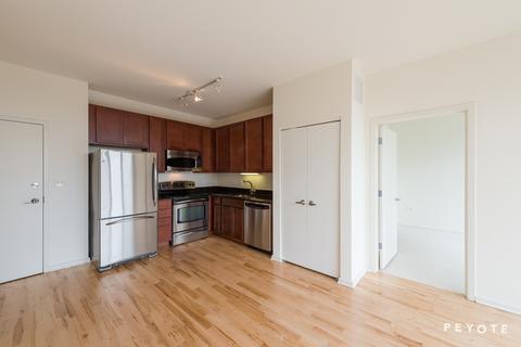 1 E 8th St #1007, Chicago, IL 60605 photo 7