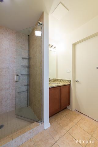 1 E 8th St #1007, Chicago, IL 60605 photo 11