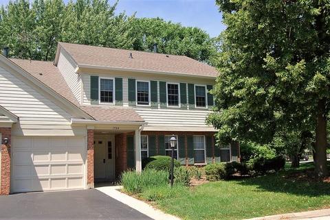 1504 Canbury Ct #A1, Wheeling, IL 60090 photo 1