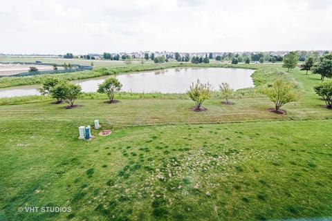 12909 White Pine Way, Plainfield, IL 60585 photo 16