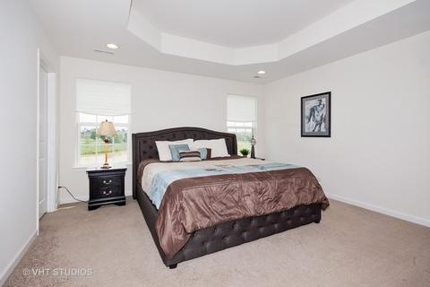 12909 White Pine Way, Plainfield, IL 60585 photo 9