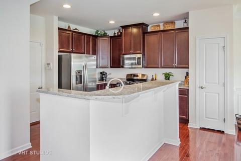 12909 White Pine Way, Plainfield, IL 60585 photo 4