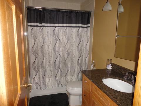 845 Pear Tree Ln, Bartlett, IL 60103 photo 11