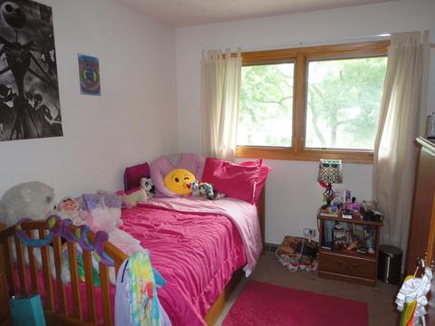 845 Pear Tree Ln, Bartlett, IL 60103 photo 10
