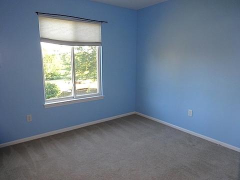 21217 W Covington Dr, Plainfield, IL 60544 photo 25