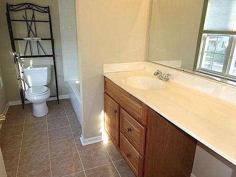21217 W Covington Dr, Plainfield, IL 60544 photo 23