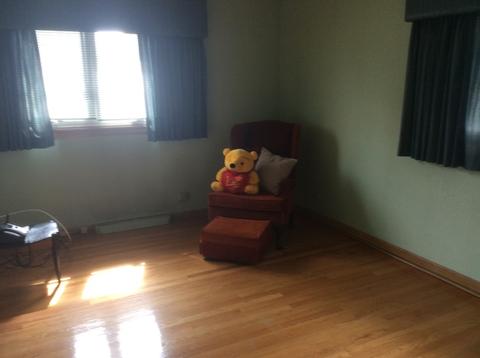 9143 S Constance Ave, Chicago, IL 60617 photo 13