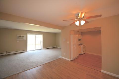158 E Bailey Rd #L, Naperville, IL 60565 photo 11
