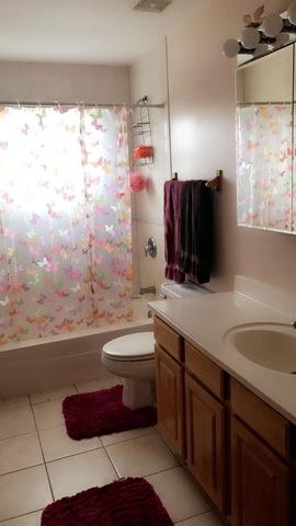 7335 W 58th Pl, Summit, IL 60501 photo 14