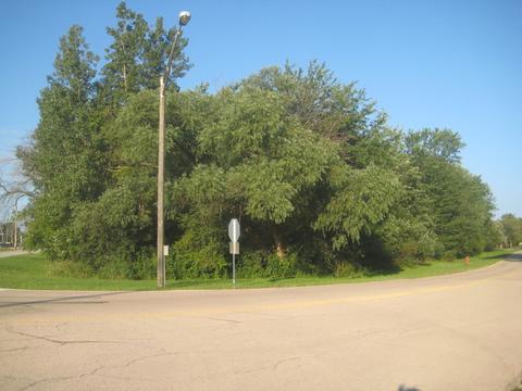 301 E 1st St, Braidwood, IL 60408 photo 2