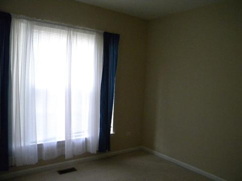 13650 S Redbud Dr, Plainfield, IL 60544 photo 7