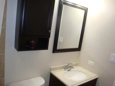 1102 Sebring Dr, Elgin, IL 60120 photo 12