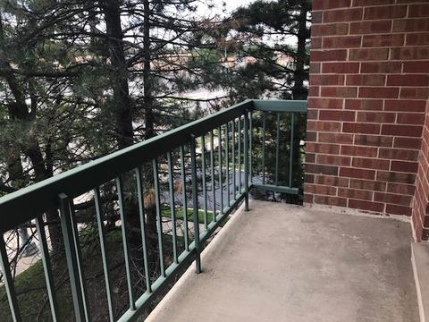545 S River Rd #308, Des Plaines, IL 60016 photo 15