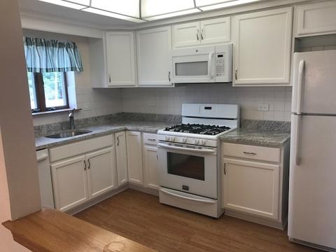 545 S River Rd #308, Des Plaines, IL 60016 photo 2