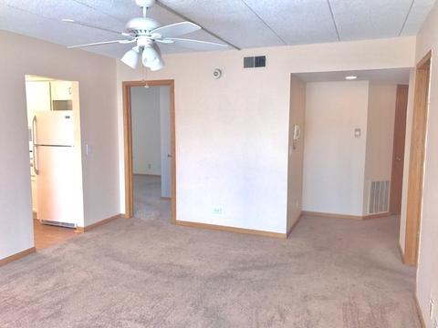 545 S River Rd #308, Des Plaines, IL 60016 photo 6