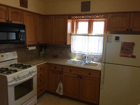 608 N Irving Ave, Hillside, IL 60162 photo 8