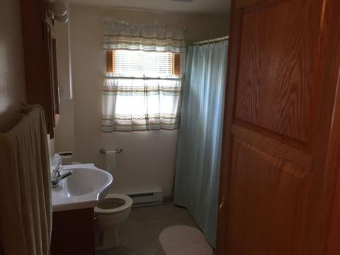 608 N Irving Ave, Hillside, IL 60162 photo 10