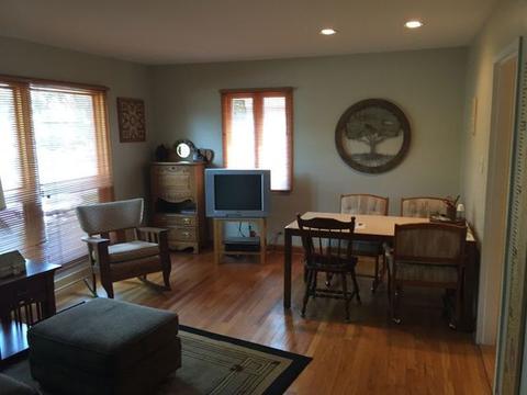 608 N Irving Ave, Hillside, IL 60162 photo 7