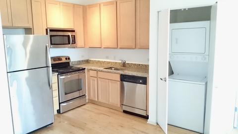 1 E 8th St #704, Chicago, IL 60605 photo 3
